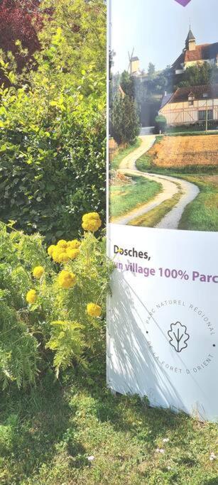 La Maison Des Delices Dosches Zewnętrze zdjęcie